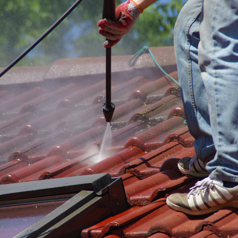 roof cleaning service