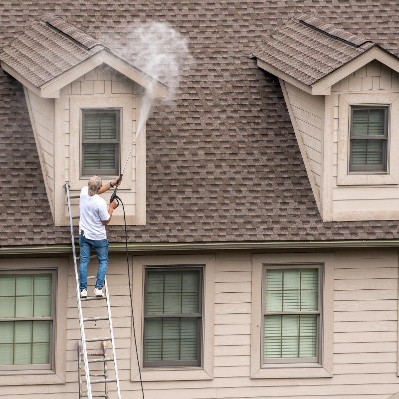 roof cleaning service