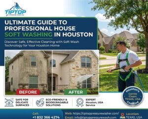 Soft Wash Cleaning Services