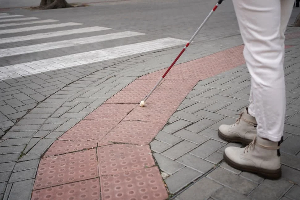 Paver Cleaning