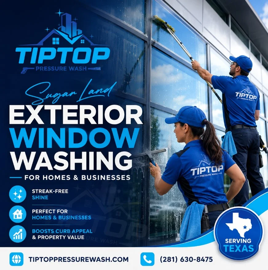 Exterior Window Cleaning